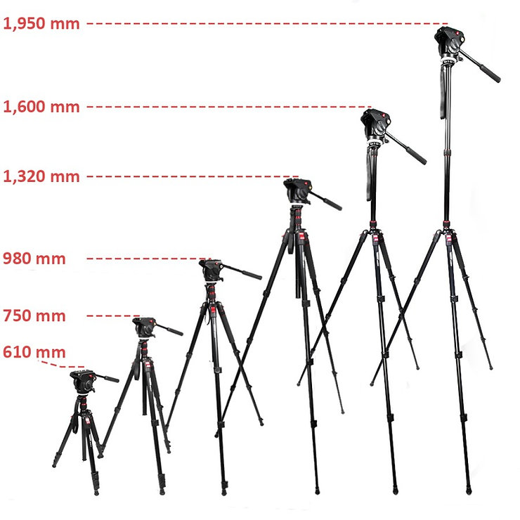 Rover 77 Paket 1 Traveller Fluid Head Video Tripod Monopod Kit 2.webp